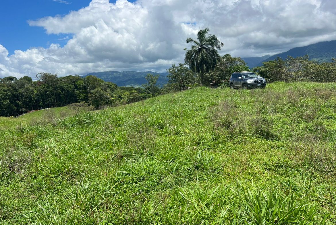 BEAUTIFUL MOUNTAIN VIEW FARM WITH MANY WATER SOURCES AND MANY BUILDING AREAS – 41 ACRES