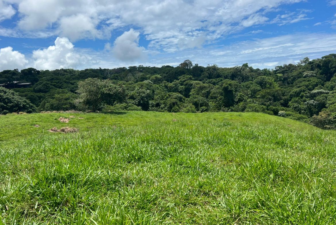 BEAUTIFUL MOUNTAIN VIEW FARM WITH MANY WATER SOURCES AND MANY BUILDING AREAS – 41 ACRES