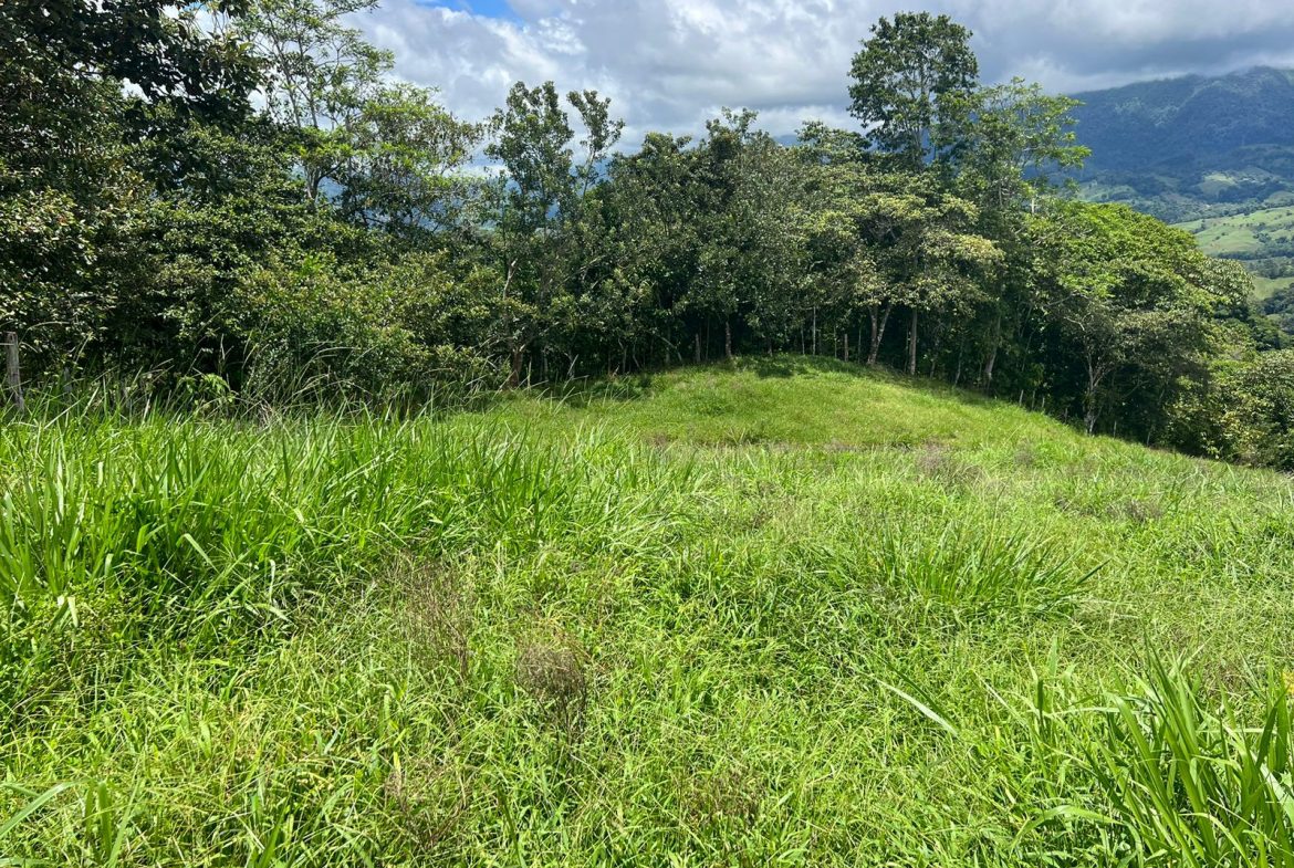 BEAUTIFUL MOUNTAIN VIEW FARM WITH MANY WATER SOURCES AND MANY BUILDING AREAS – 41 ACRES