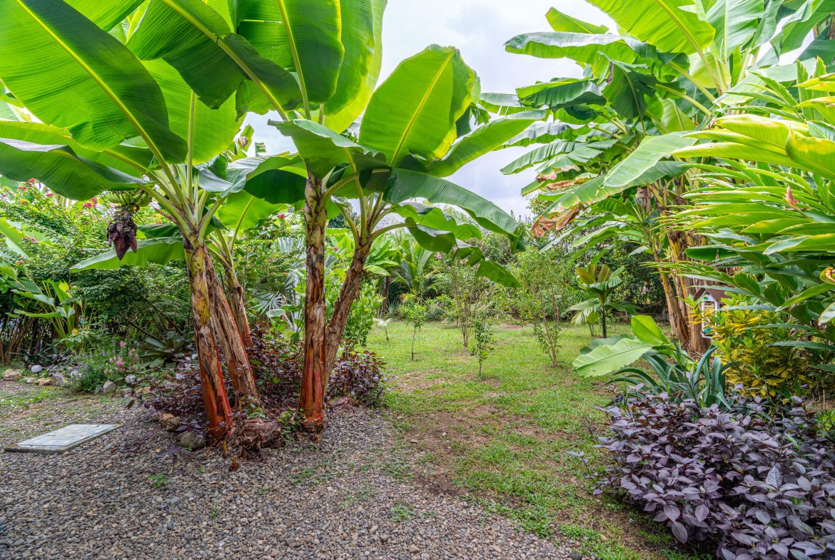 MODERN TURN KEY 1 BEDROOM STUDIO IN UVITA – 0.12 ACRES