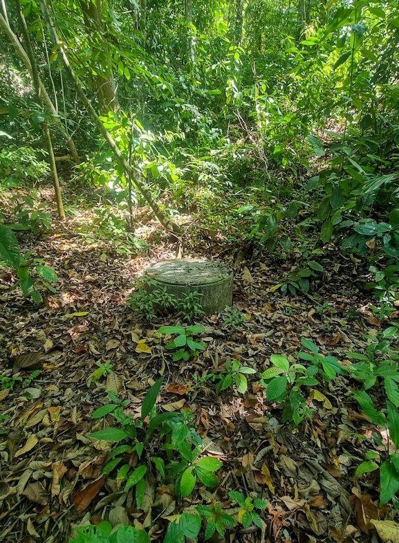 OCEAN VIEW PROPERTY WITH DEVELOPMENT POTENCIAL NEAR OJOCHAL