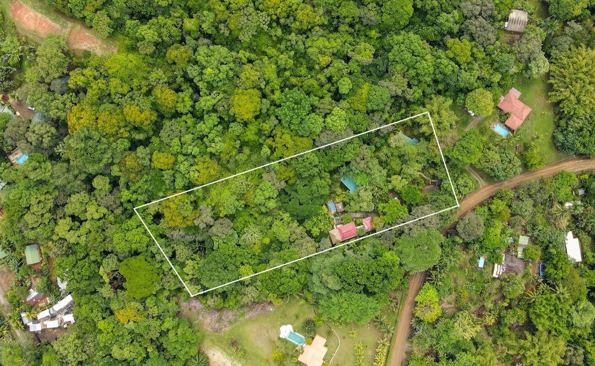 3 BEDROOM HOME AND TWO CABINAS WITH VIEWS TO THE STREAM – 1.96 ACRES, Uvita, Costa Rica — photo 2