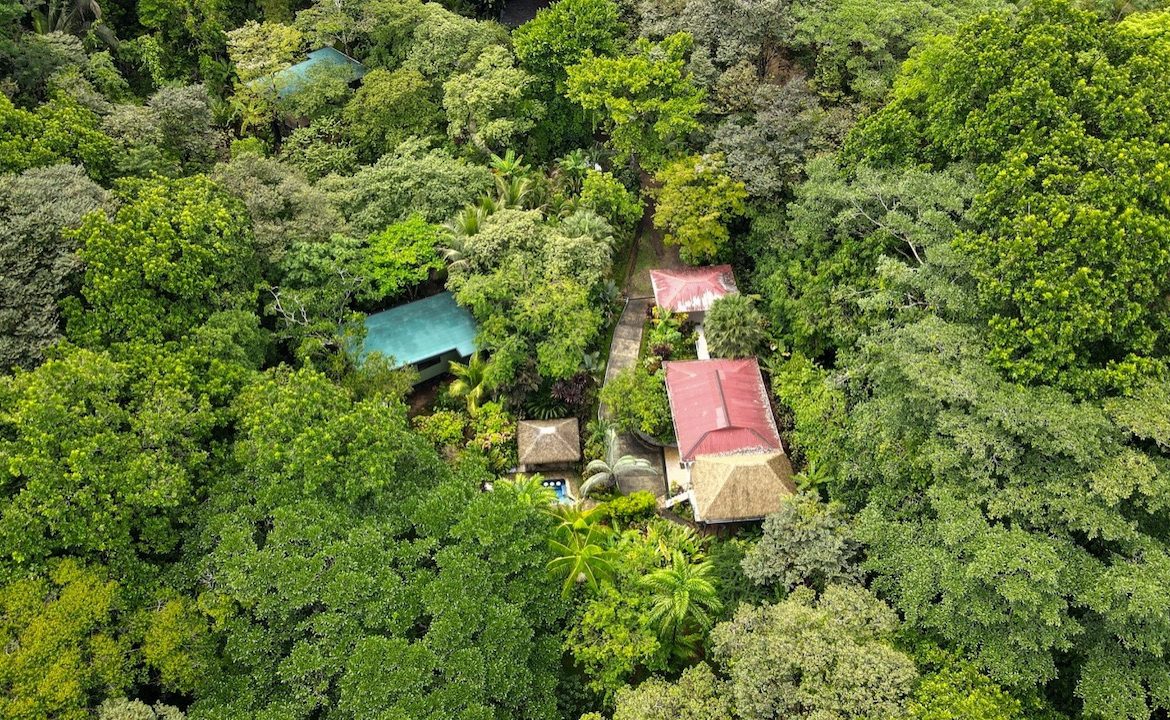 3 BEDROOM HOME AND TWO CABINAS WITH VIEWS TO THE STREAM – 1.96 ACRES, Uvita, Costa Rica — photo 4