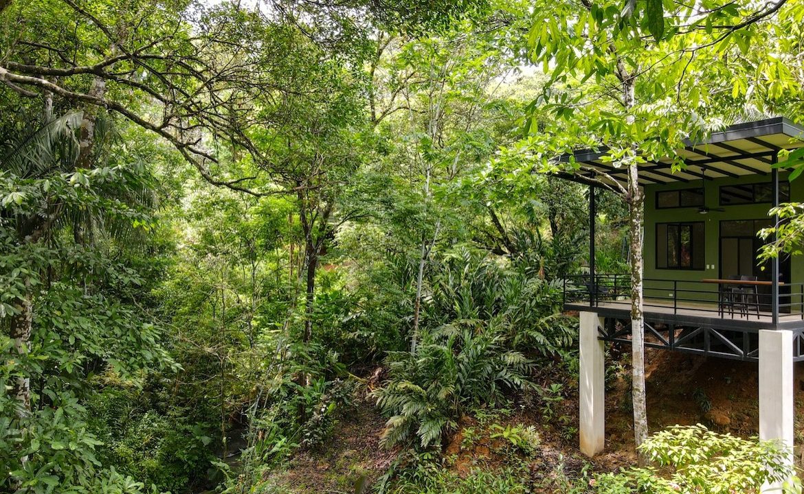 3 BEDROOM HOME AND TWO CABINAS WITH VIEWS TO THE STREAM – 1.96 ACRES