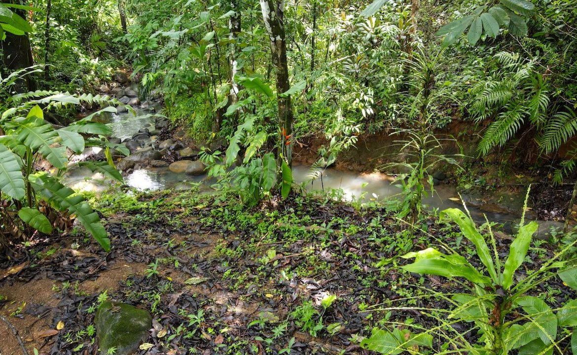 3 BEDROOM HOME AND TWO CABINAS WITH VIEWS TO THE STREAM – 1.96 ACRES