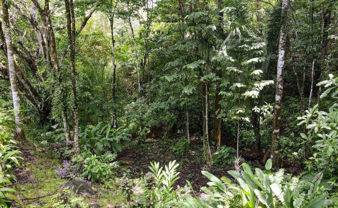3 BEDROOM HOME AND TWO CABINAS WITH VIEWS TO THE STREAM – 1.96 ACRES