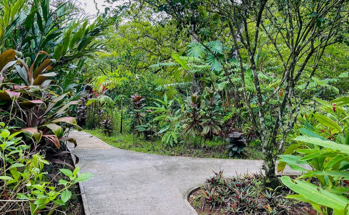 3 BEDROOM HOME AND TWO CABINAS WITH VIEWS TO THE STREAM – 1.96 ACRES