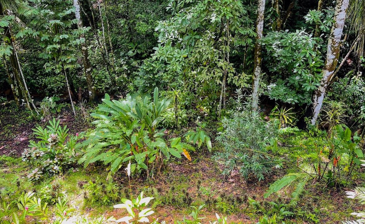 3 BEDROOM HOME AND TWO CABINAS WITH VIEWS TO THE STREAM – 1.96 ACRES