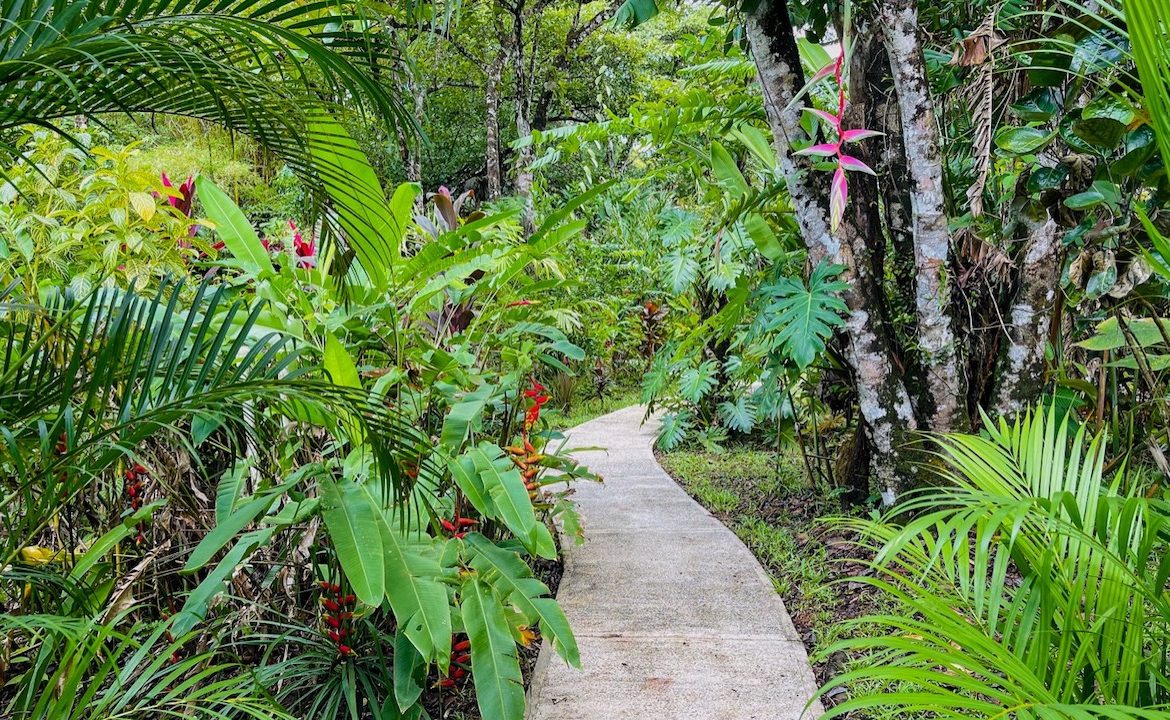 3 BEDROOM HOME AND TWO CABINAS WITH VIEWS TO THE STREAM – 1.96 ACRES