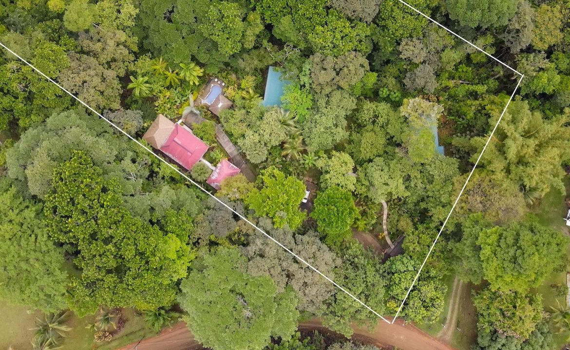 3 BEDROOM HOME AND TWO CABINAS WITH VIEWS TO THE STREAM – 1.96 ACRES, Uvita, Costa Rica — photo 3