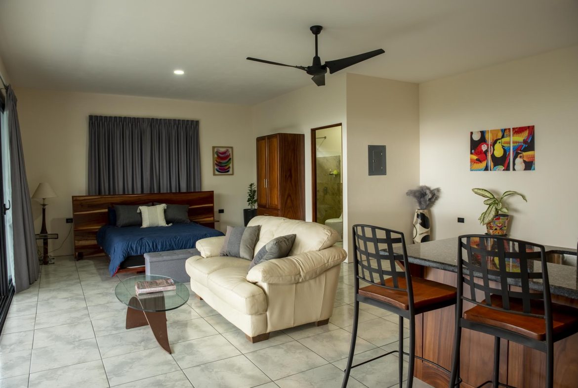 STUDIO APARMENT FOR RENT WITH POOL , COOL CLIMATE AND MOUNTIAN VIEW
