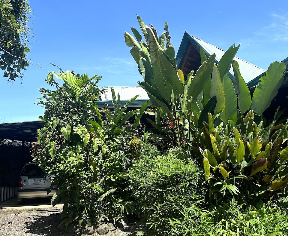 CASA BALI – 3 BEDROOM HOME WALKING DISTANCE TO THE BEACH