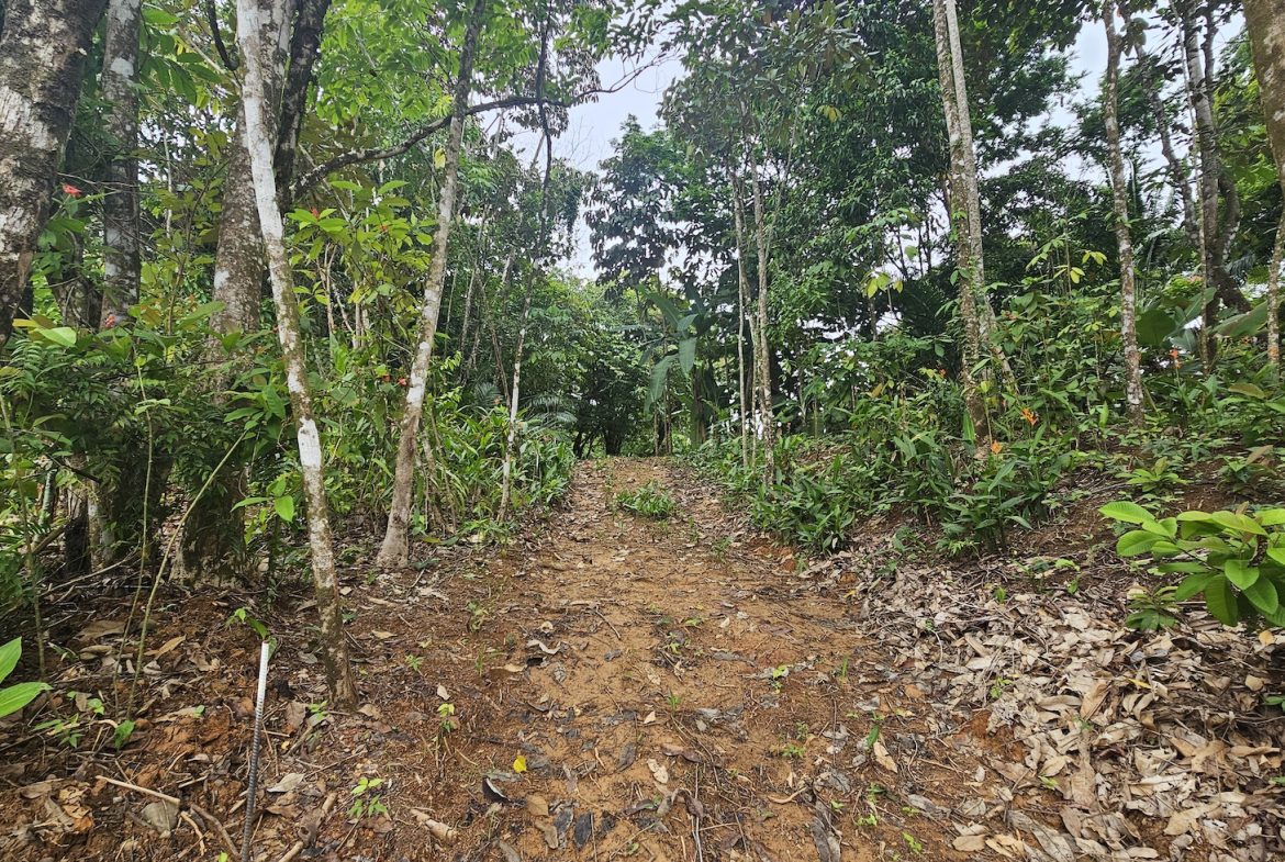 NEW 0.31 ACRES LOT IN UVITA !