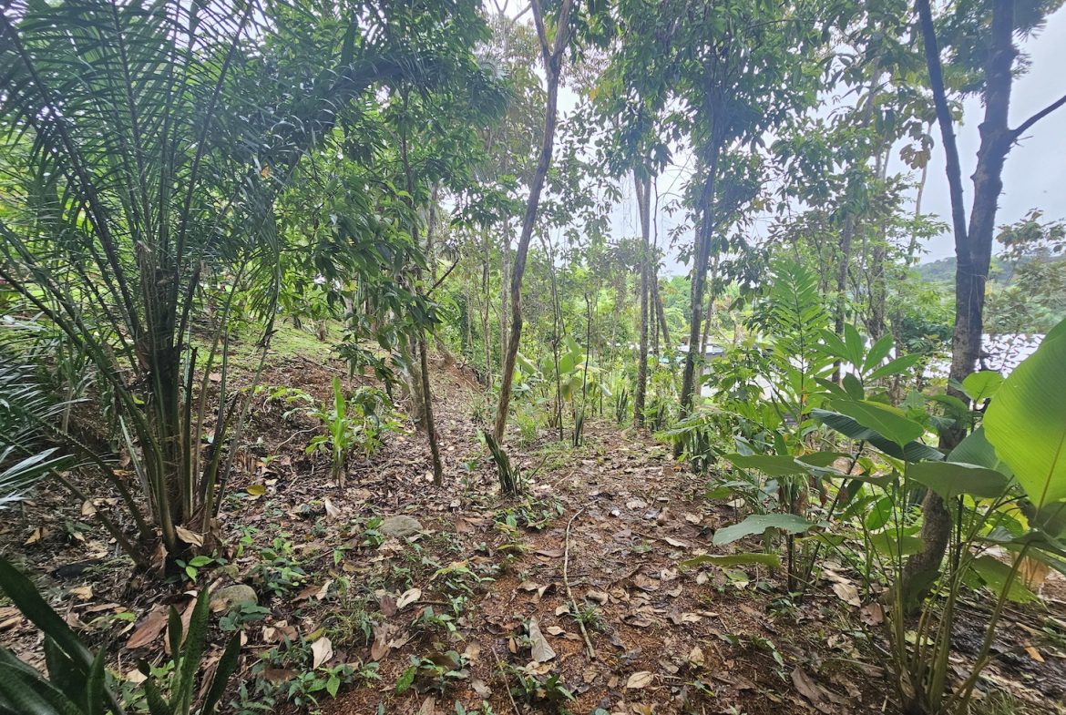 NEW 0.31 ACRES LOT IN UVITA !