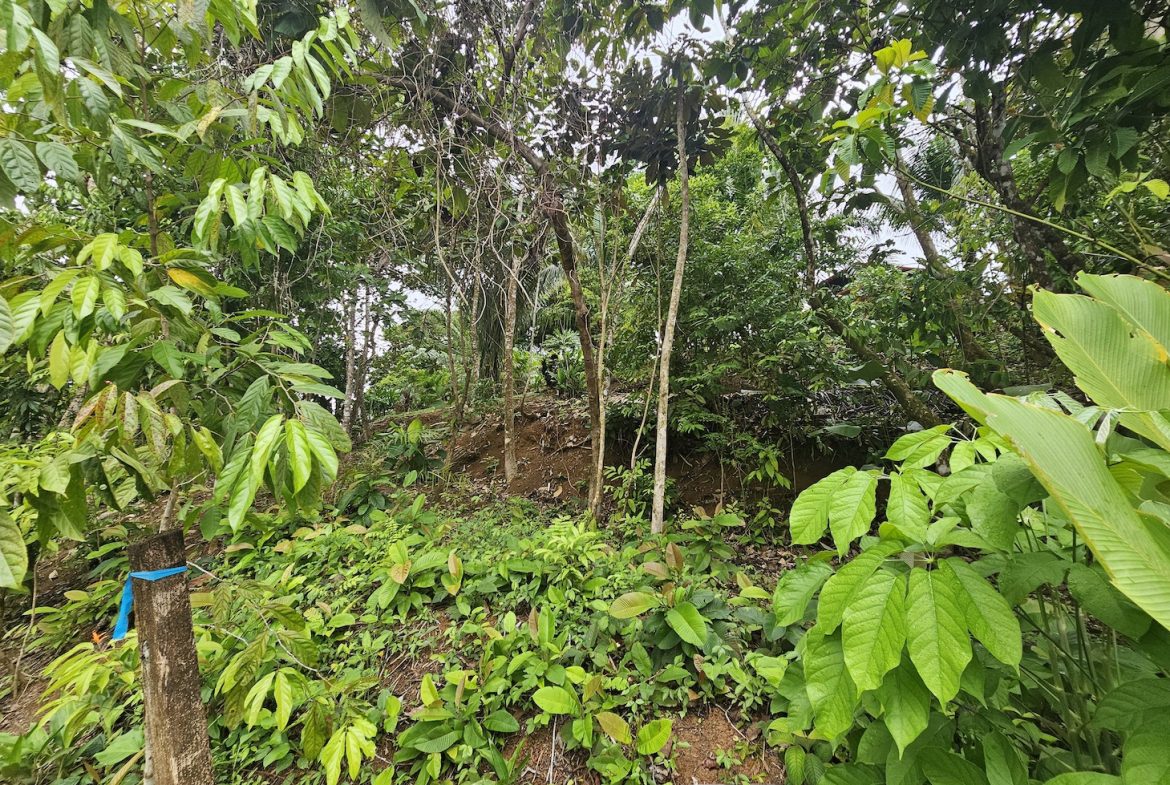 NEW 0.31 ACRES LOT IN UVITA !