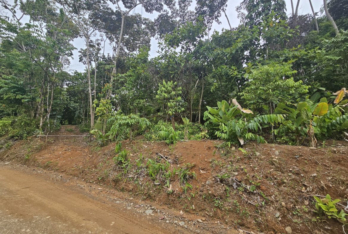 NEW 0.31 ACRES LOT IN UVITA !
