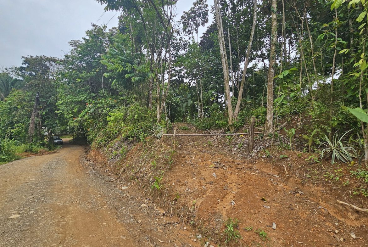 NEW 0.31 ACRES LOT IN UVITA !