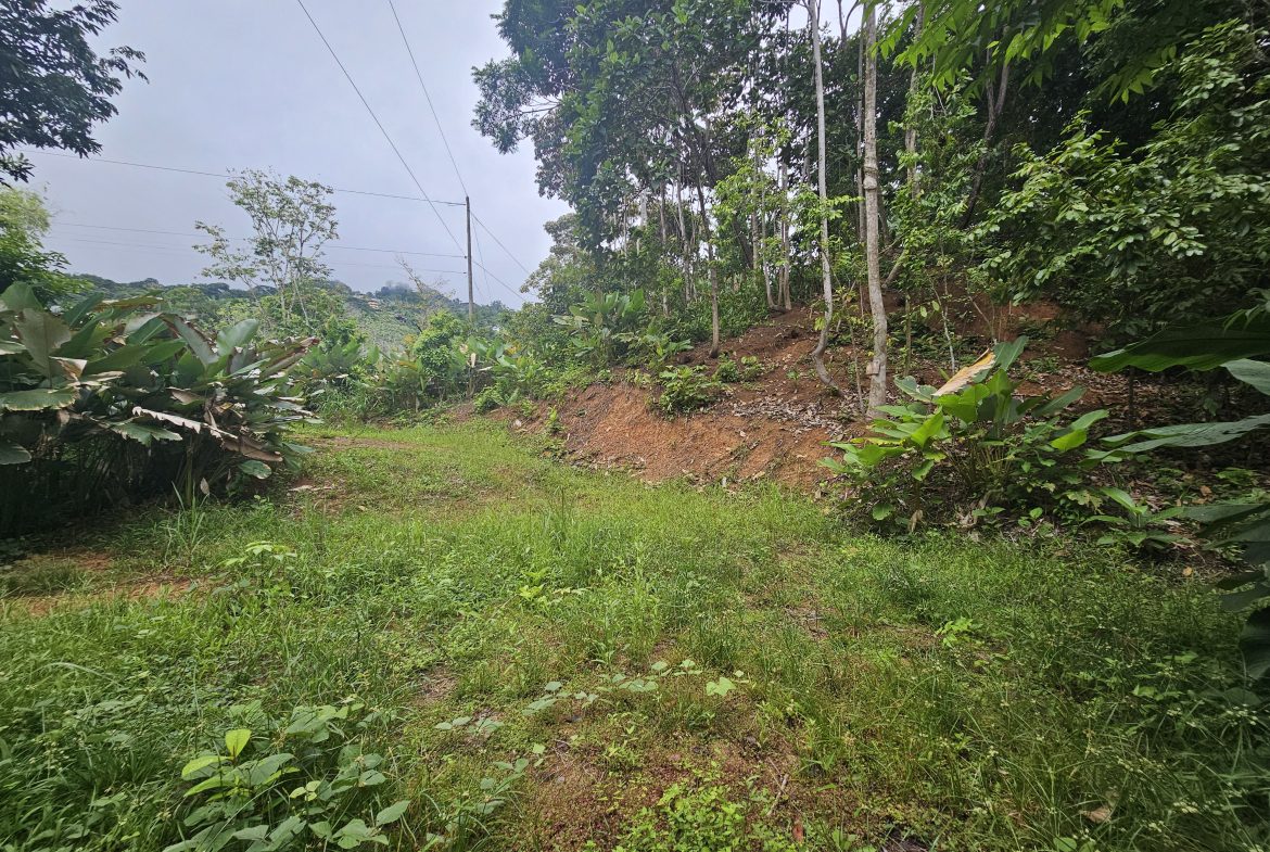 BEAUTIFUL LOT IN UVITA