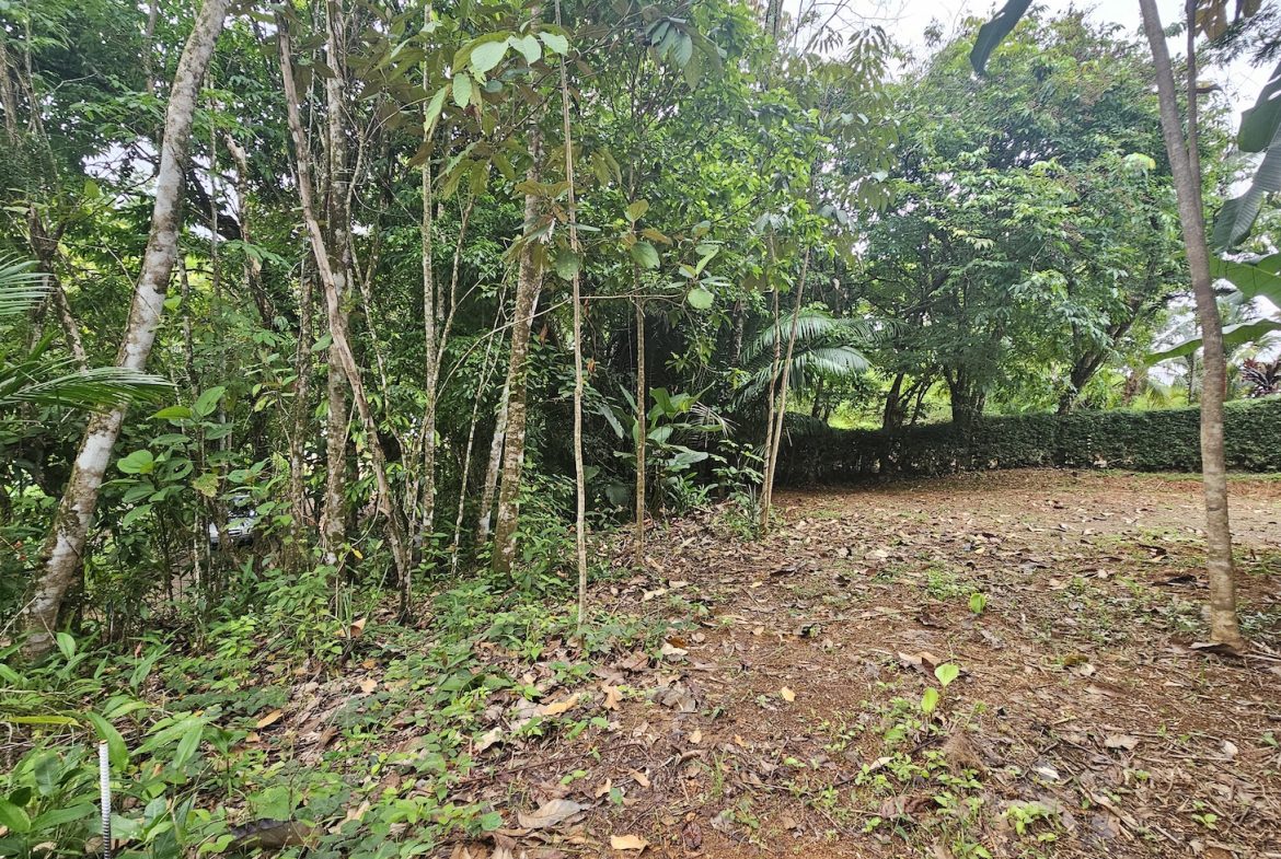 NEW 0.31 ACRES LOT IN UVITA !