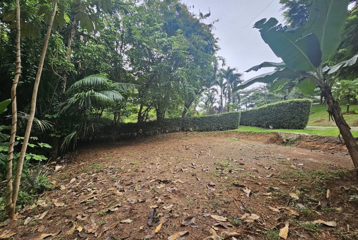 NEW 0.31 ACRES LOT IN UVITA !