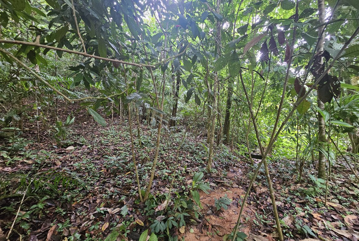 BEAUTIFUL LOT IN UVITA