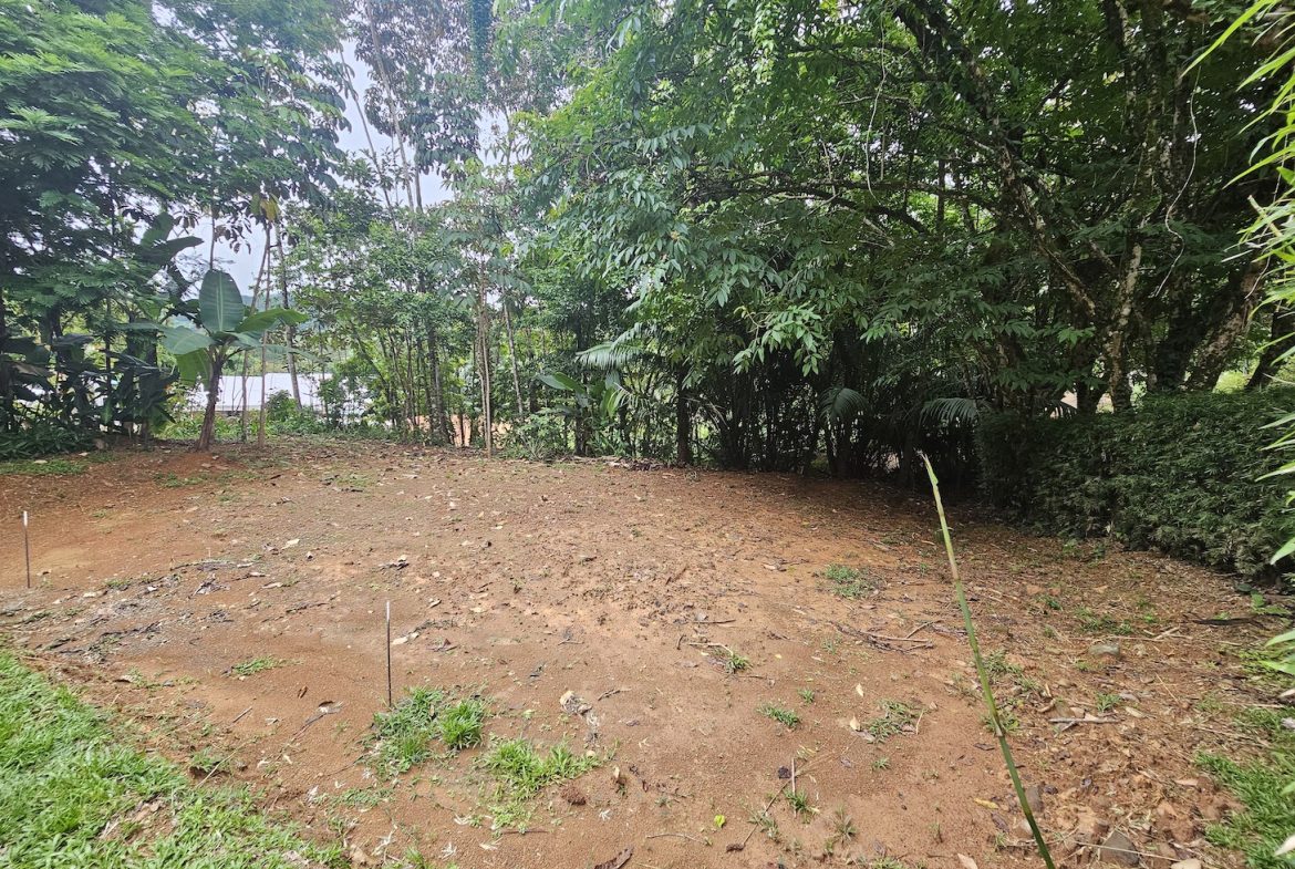 NEW 0.31 ACRES LOT IN UVITA !