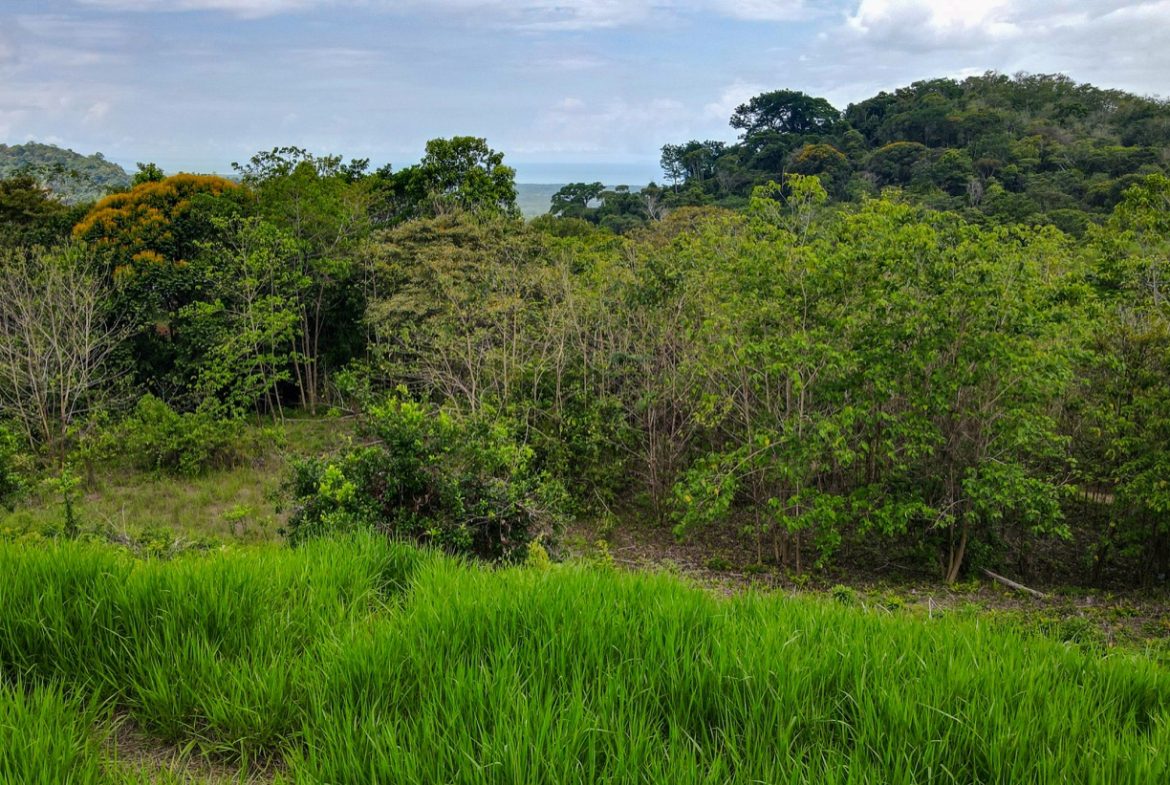 LAND WITH BEAUTIFUL OCEAN VIEW AND MULTIPLE BUILDING SITES