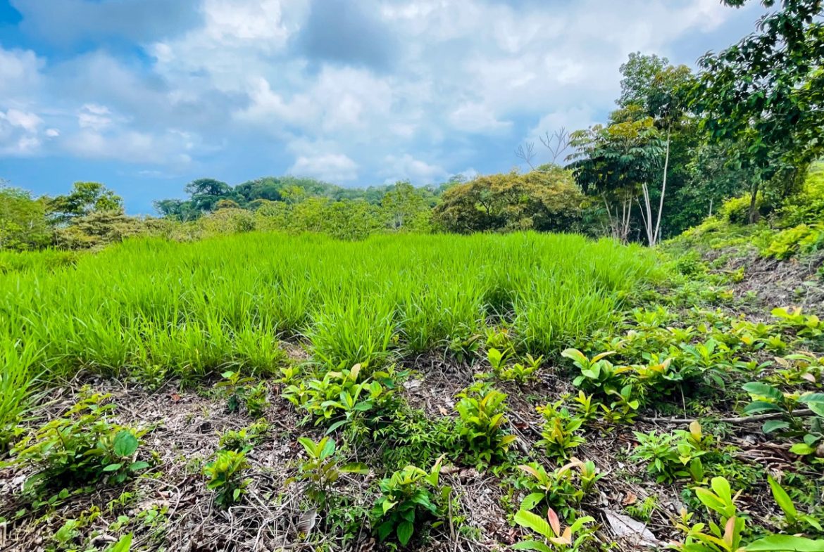 LAND WITH BEAUTIFUL OCEAN VIEW AND MULTIPLE BUILDING SITES