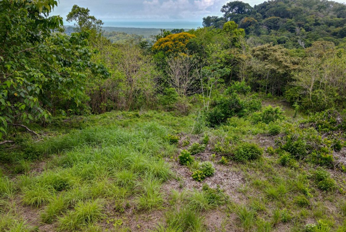 LAND WITH BEAUTIFUL OCEAN VIEW AND MULTIPLE BUILDING SITES