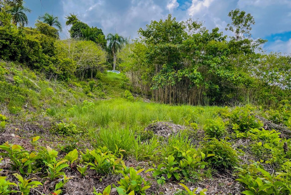 LAND WITH BEAUTIFUL OCEAN VIEW AND MULTIPLE BUILDING SITES