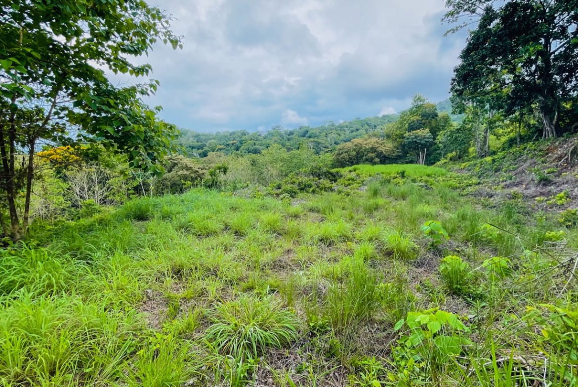 LAND WITH BEAUTIFUL OCEAN VIEW AND MULTIPLE BUILDING SITES