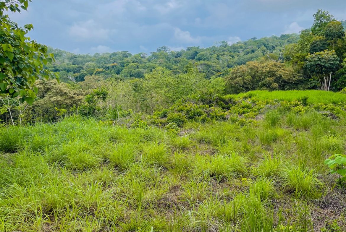 LAND WITH BEAUTIFUL OCEAN VIEW AND MULTIPLE BUILDING SITES