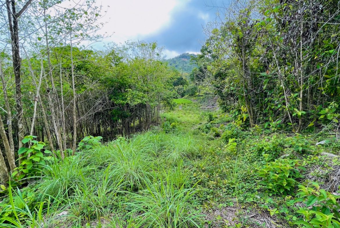 LAND WITH BEAUTIFUL OCEAN VIEW AND MULTIPLE BUILDING SITES