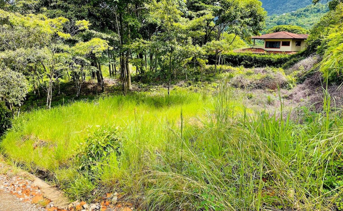 OCEAN VIEW LOT IN OJOCHAL