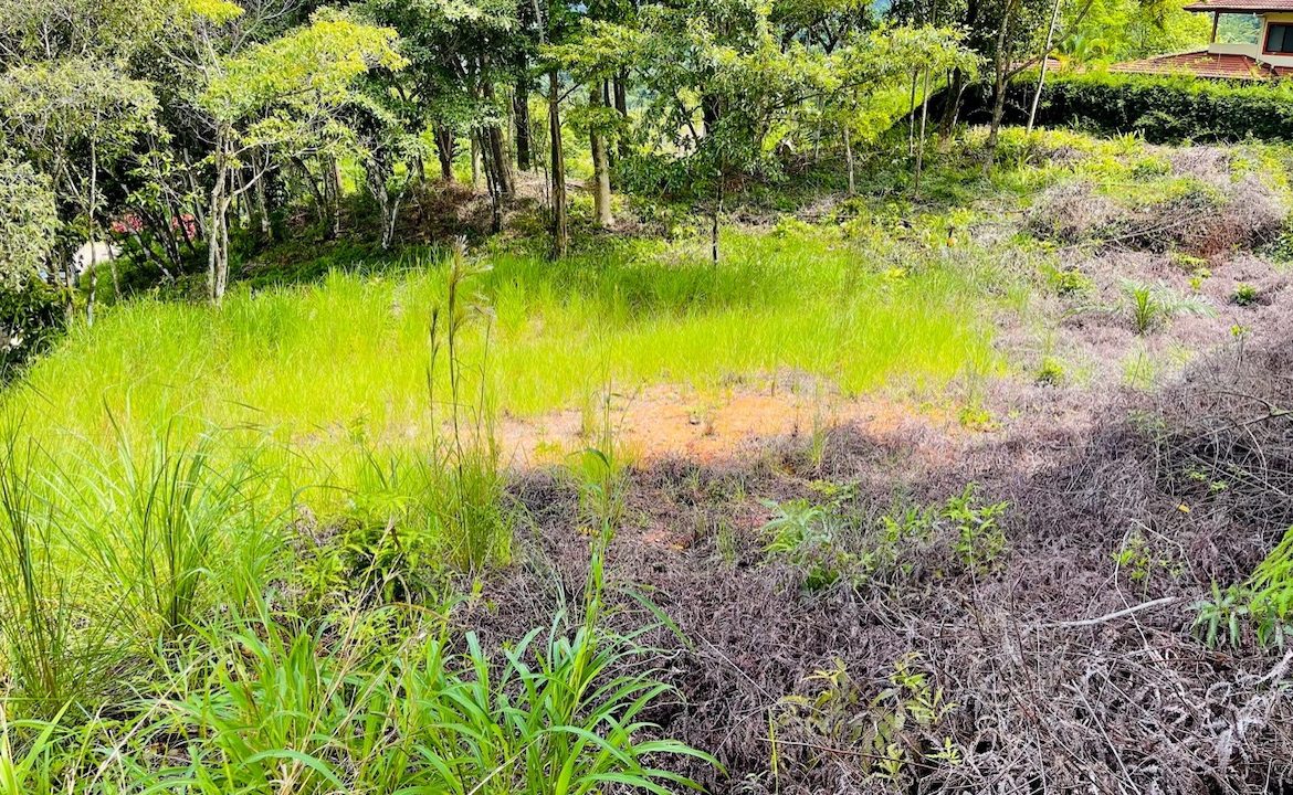 OCEAN VIEW LOT IN OJOCHAL