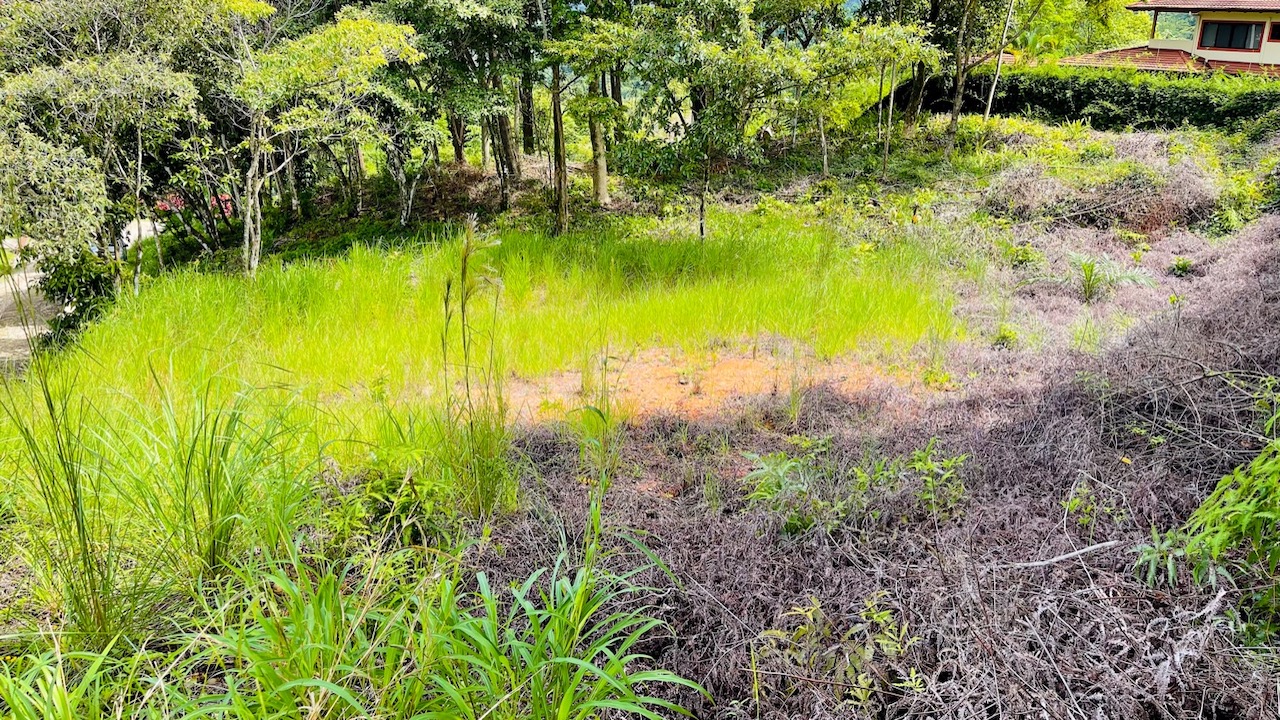 Property For Sale in Ojochal Costa Rica