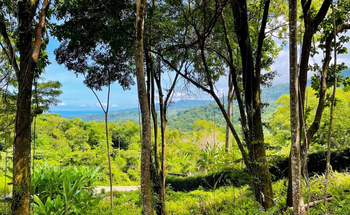 OCEAN VIEW LOT IN OJOCHAL