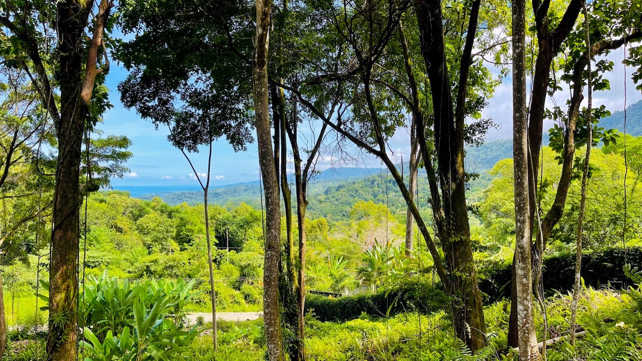 Property For Sale in Ojochal Costa Rica