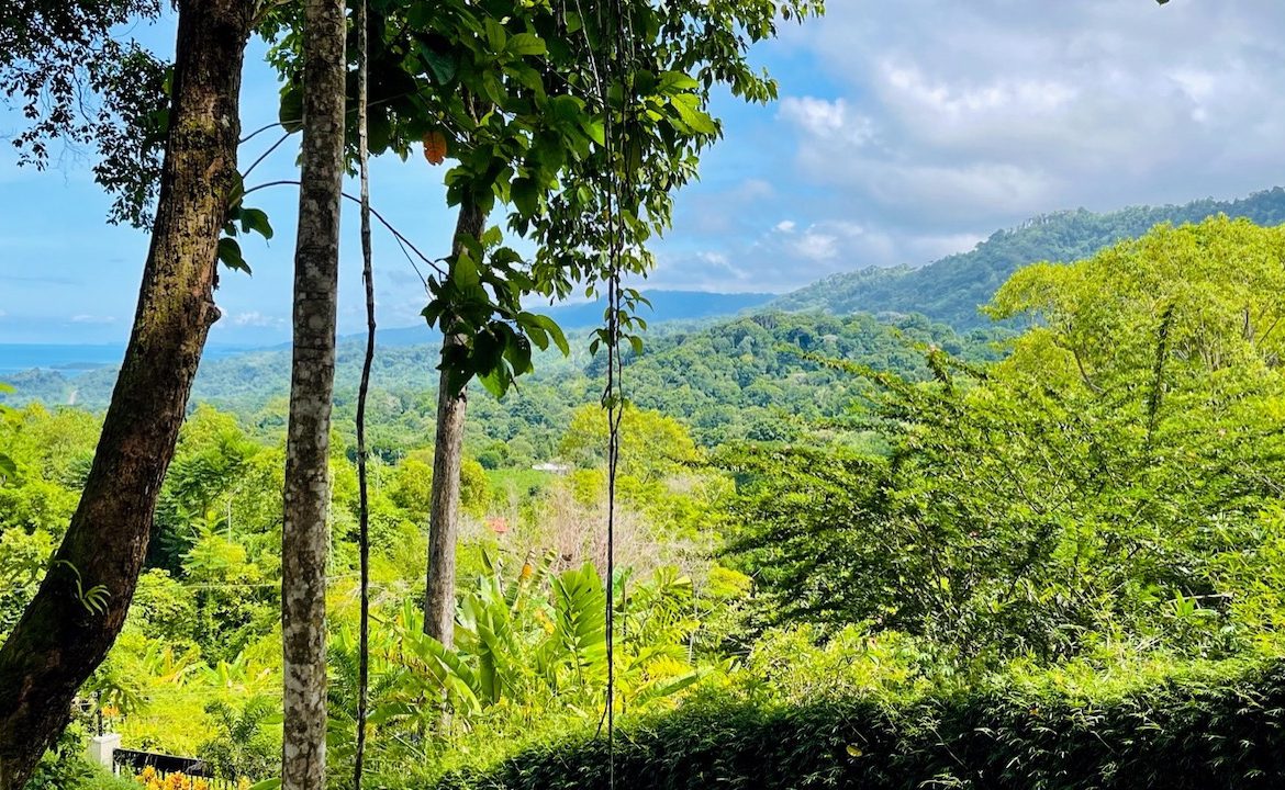 OCEAN VIEW LOT IN OJOCHAL