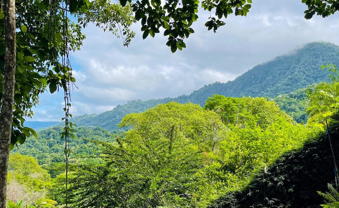OCEAN VIEW LOT IN OJOCHAL