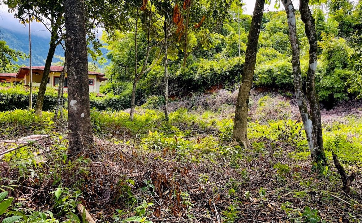 OCEAN VIEW LOT IN OJOCHAL