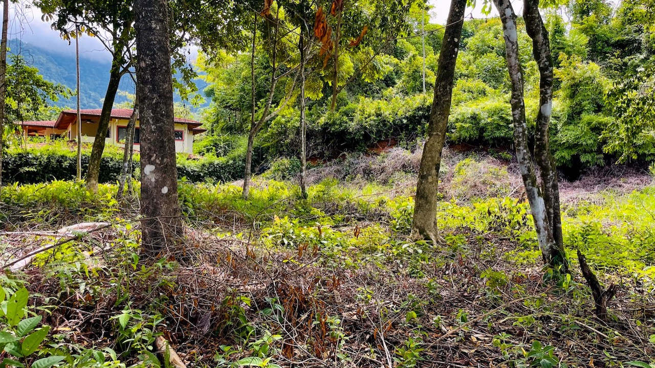 Property For Sale in Ojochal Costa Rica