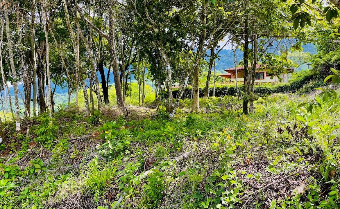 OCEAN VIEW LOT IN OJOCHAL