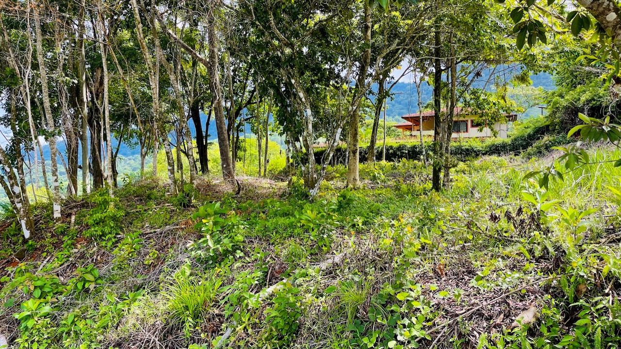 Property For Sale in Ojochal Costa Rica