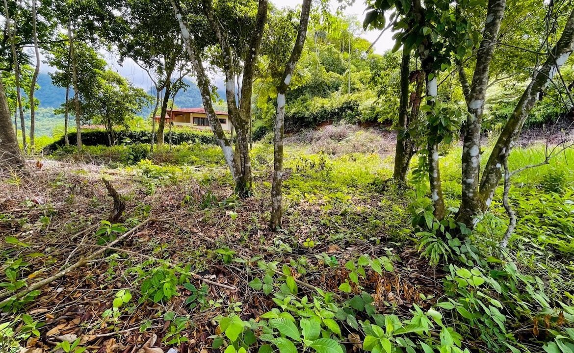 OCEAN VIEW LOT IN OJOCHAL