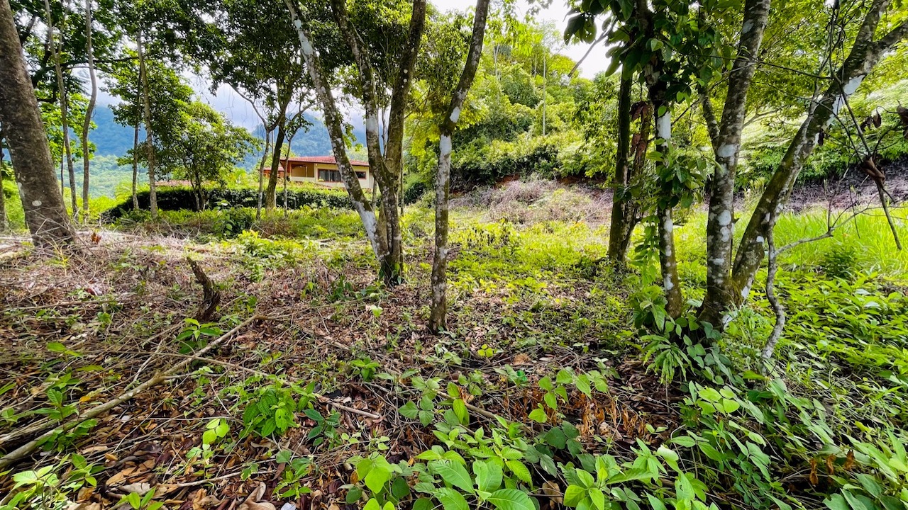 Property For Sale in Ojochal Costa Rica