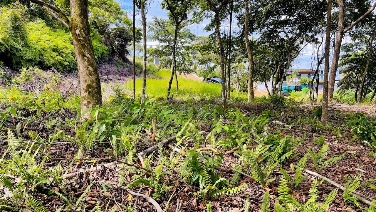 Property For Sale in Ojochal Costa Rica