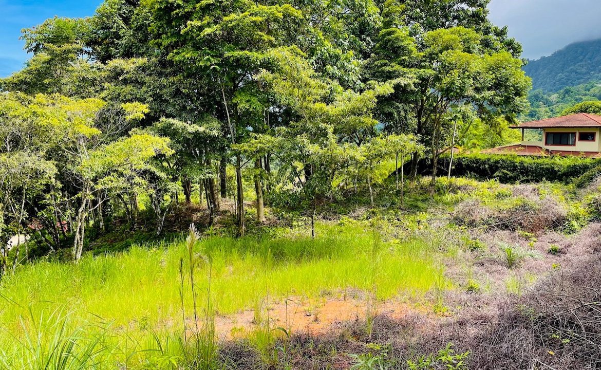 OCEAN VIEW LOT IN OJOCHAL