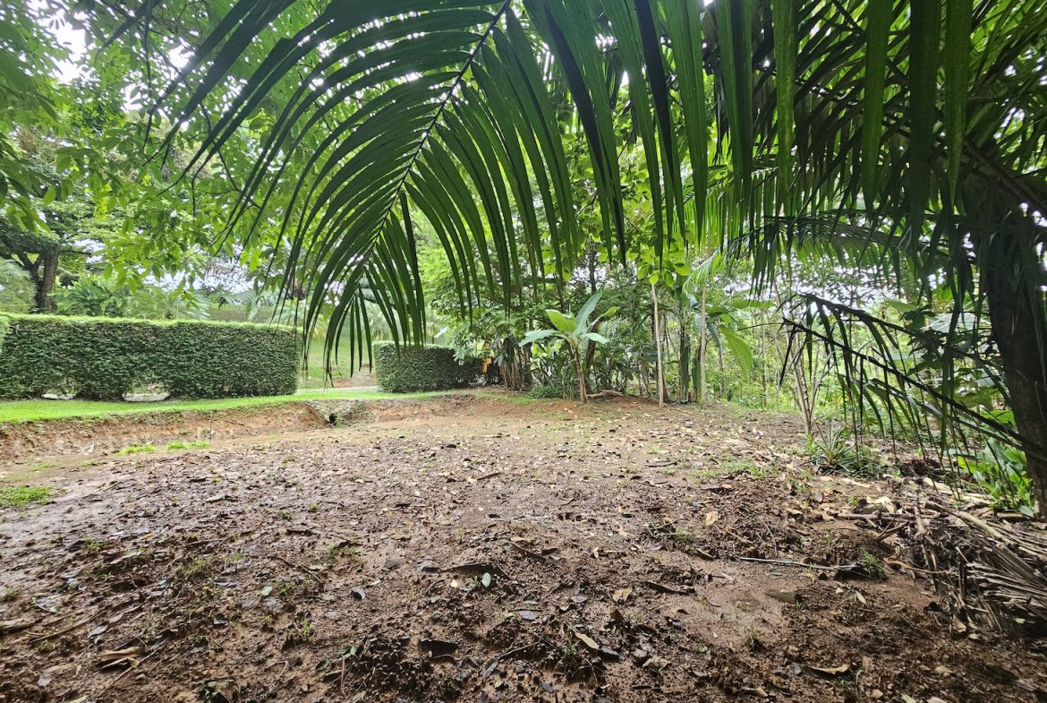 NEW 0.31 ACRES LOT IN UVITA !