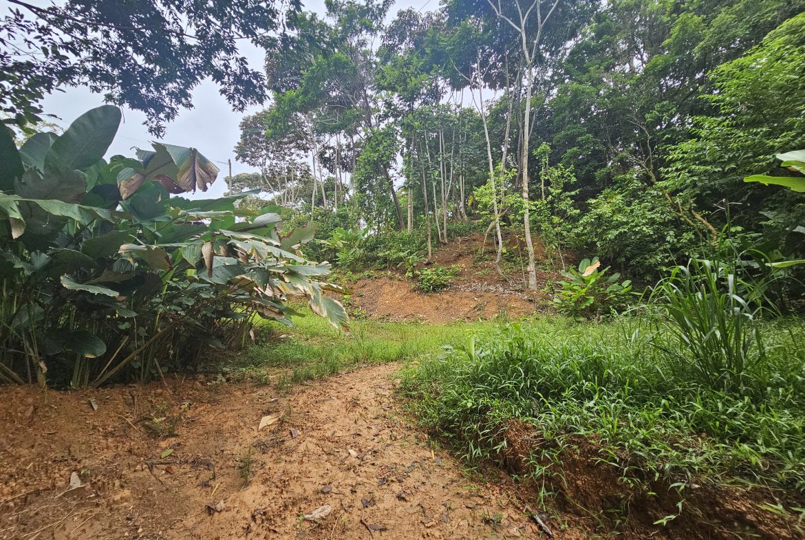 BEAUTIFUL LOT IN UVITA